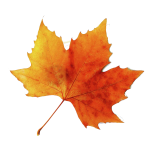leaves-mobile