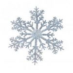 snow1