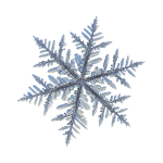 snowflak6